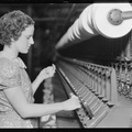Millville, New Jersey - Textiles. Millville Manufacturing Co. (Woman pulling thread.) - NARA - 518677