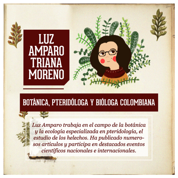 Luz-Amparo-Triana-300x300@2x.png