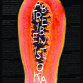 Papaya-Plakat-Nov2020.pdf